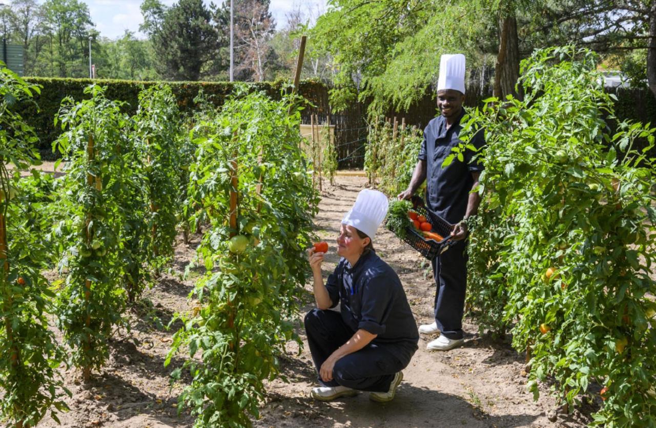 Hotel Demeures de Campagne Chemins de Sologne à Orléans Esterno foto
